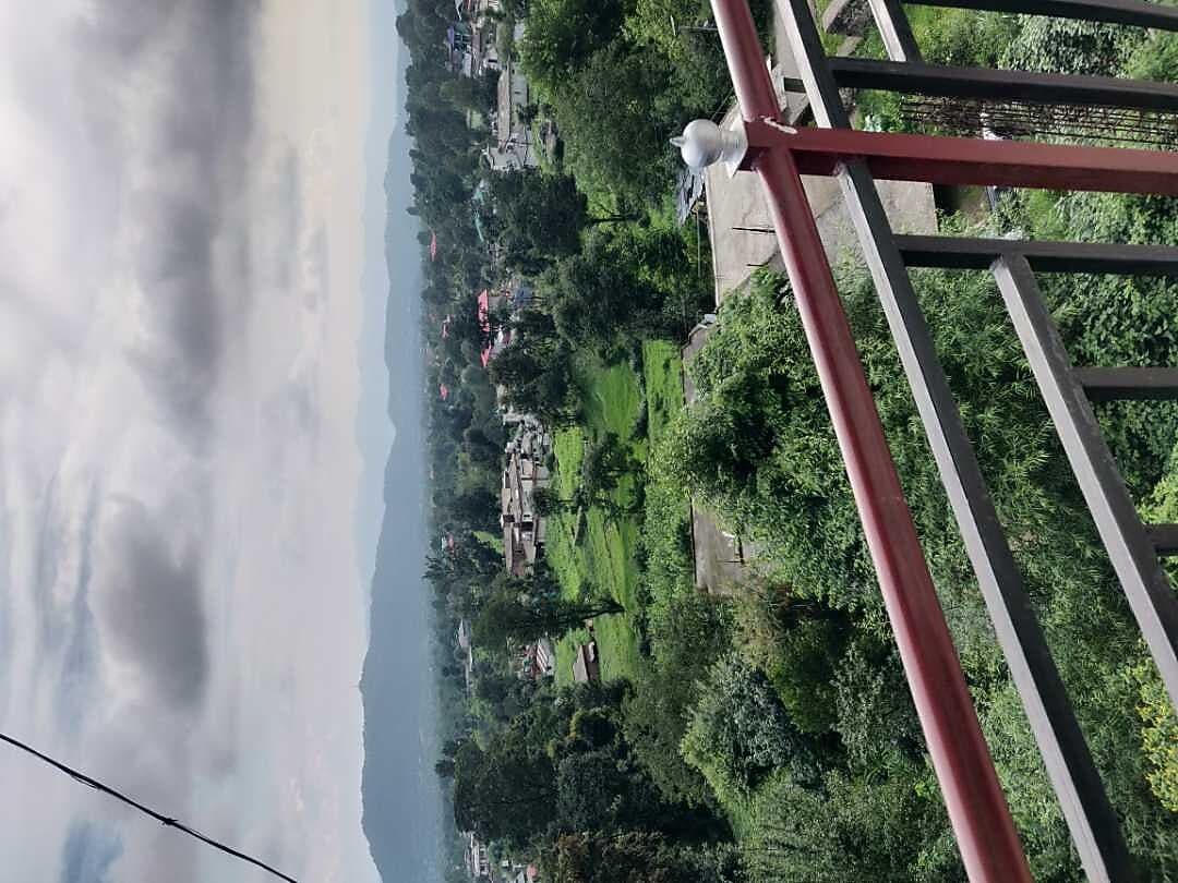 Forest View Deluxe Room